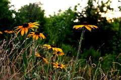 photo 0073